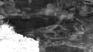 Still 3 from this detection