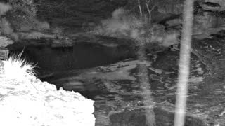 Still 1 from this detection