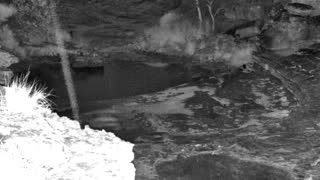 Still 2 from this detection