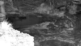 Still 1 from this detection