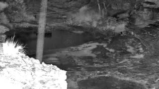 Still 3 from this detection