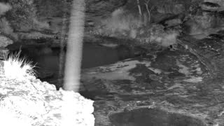 Still 2 from this detection