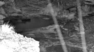 Still 3 from this detection
