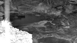 Still 3 from this detection