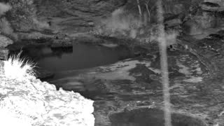 Still 1 from this detection
