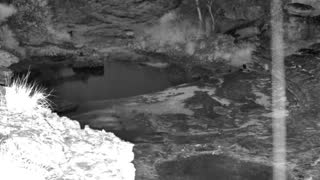 Still 1 from this detection