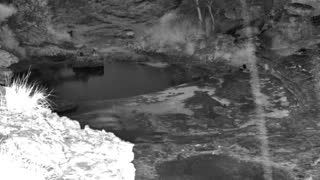 Still 1 from this detection