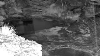 Still 2 from this detection