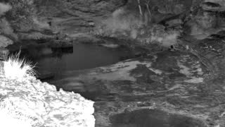Still 1 from this detection