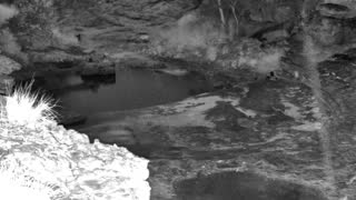 Still 3 from this detection