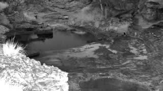 Still 2 from this detection