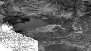 Still 2 from this detection