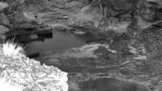 Still 1 from this detection