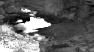 Still 1 from this detection