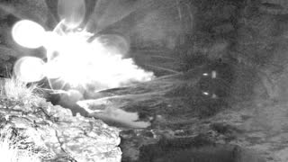 Still 1 from this detection