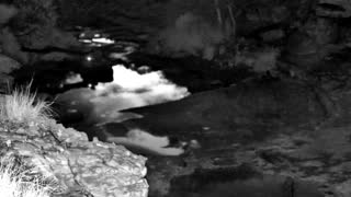 Still 2 from this detection