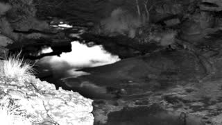 Still 1 from this detection