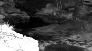 Still 1 from this detection