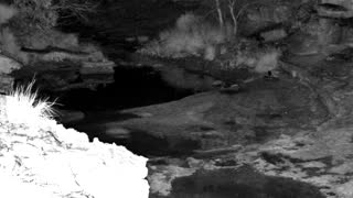 Still 2 from this detection