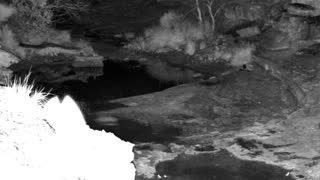 Still 2 from this detection