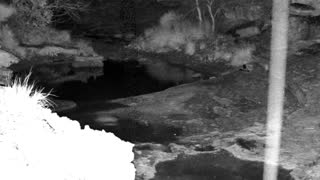 Still 1 from this detection