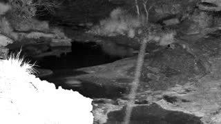 Still 2 from this detection