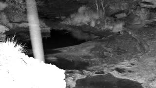 Still 1 from this detection