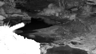 Still 1 from this detection