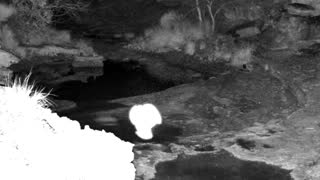 Still 2 from this detection