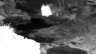 Still 1 from this detection