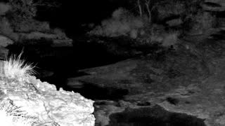 Still 2 from this detection