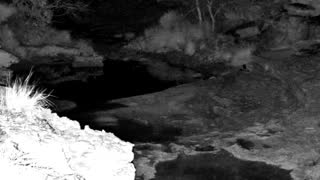 Still 3 from this detection