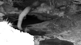 Still 1 from this detection