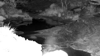 Still 1 from this detection