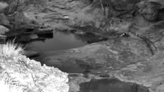 Still 1 from this detection