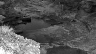 Still 2 from this detection