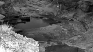 Still 3 from this detection