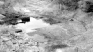 Still 1 from this detection