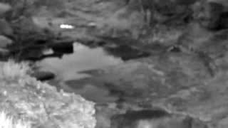 Still 2 from this detection