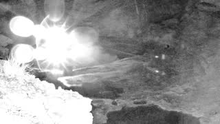Still 1 from this detection