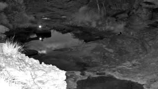 Still 2 from this detection
