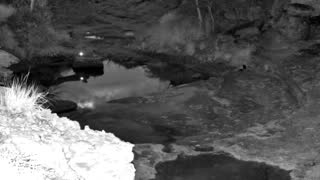 Still 3 from this detection
