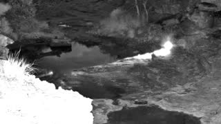 Still 2 from this detection