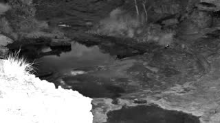 Still 3 from this detection