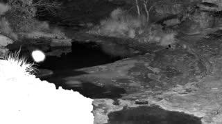 Still 1 from this detection