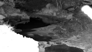 Still 2 from this detection