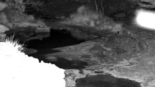 Still 1 from this detection