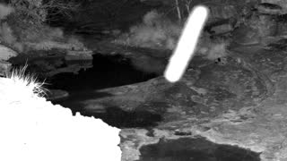 Still 1 from this detection