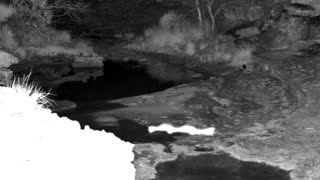 Still 1 from this detection