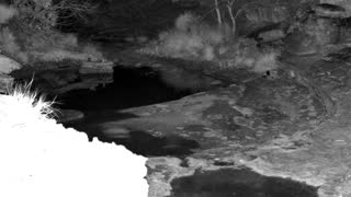 Still 2 from this detection